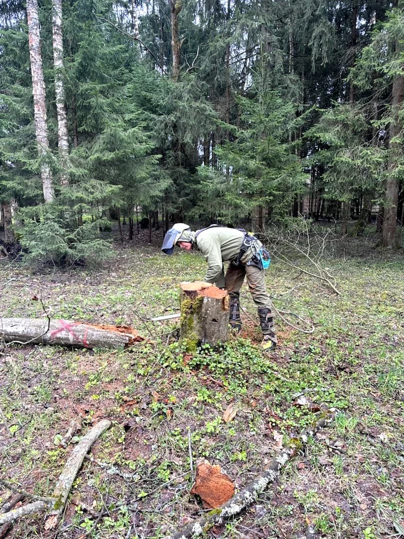 Грунт и остатки